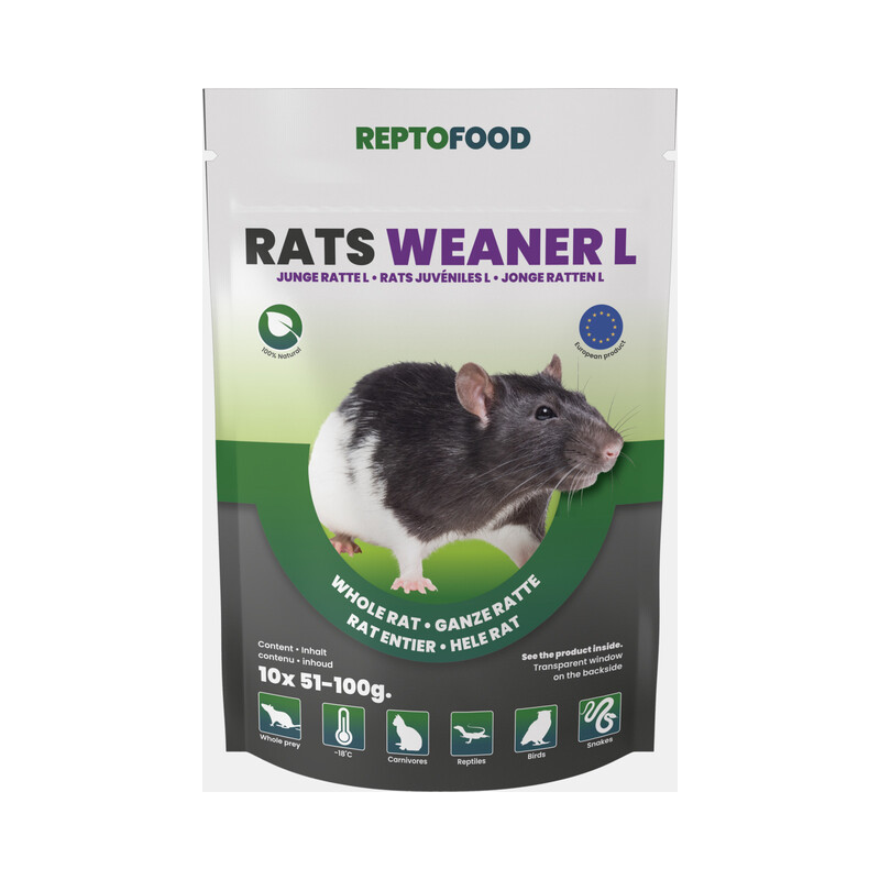 Repto rats juvéniles l 51-100g 10pcs de Superfish - Aquadistri - accessoires pour aquarium et bassin dans Alimentation Vivant...