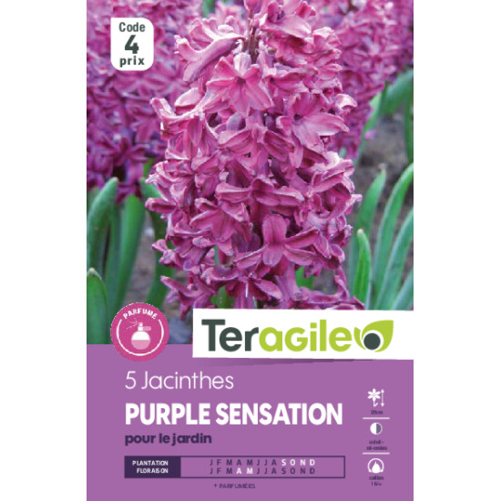 Tulipes menton calibre 12/+ x10 de Teragile - produits pour le jardin dans Tulipe en bulbes