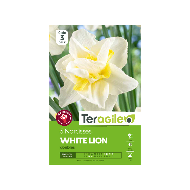 Narcisses tete de luxe - 10 bulbes à planter de Teragile - produits pour le jardin dans Narcisse - Jonquille en bulbes