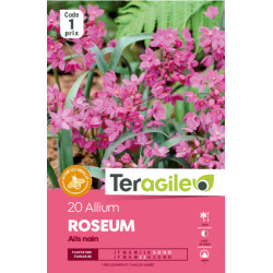 Fritillaria imperialis aurora - 1 bulbes à plant de Teragile - produits pour le jardin dans Fritillaire en bulbes