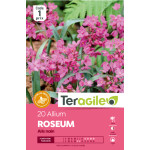 Fritillaria imperialis aurora - 1 bulbes à plant de Teragile - produits pour le jardin dans Fritillaire en bulbes