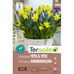 Lilium candidum. lis blanc - 1 bulbes à planter de Teragile - produits pour le jardin dans Lis en bulbes