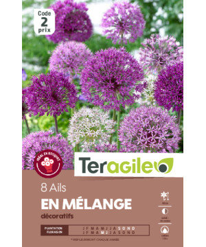 Tulipes brisbane calibre 11/+ x8 de Teragile - produits pour le jardin dans Tulipe en bulbes