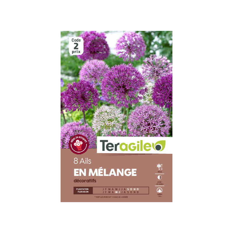 Tulipes brisbane calibre 11/+ x8 de Teragile - produits pour le jardin dans Tulipe en bulbes