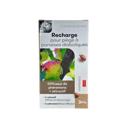 3 recharges piege punaise diaboliques-marbrées de BSI -Bio service international - traitement pour plantes dans Phéromone et ...