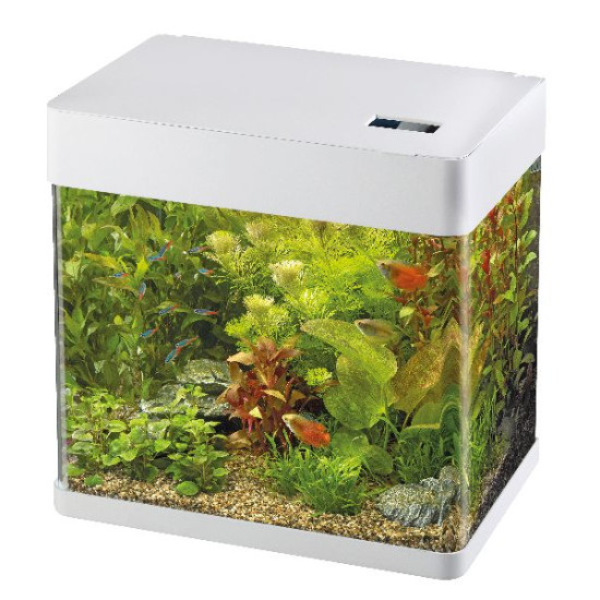 AQUARIUM PANORAMA 35 BLANC de Superfish - Aquadistri - accessoires pour aquarium et bassin dans Aquariums - de 60 Litres