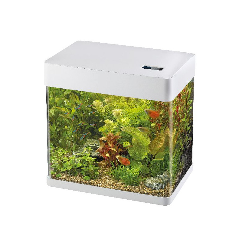 AQUARIUM PANORAMA 35 BLANC de Superfish - Aquadistri - accessoires pour aquarium et bassin dans Aquariums - de 60 Litres