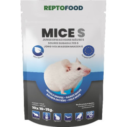 Repto souris subadultes s10-15g 10pcs de Superfish - Aquadistri - accessoires pour aquarium et bassin dans Nourriture reptile