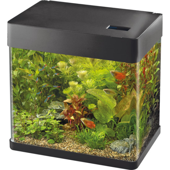 Aquarium panorama 20 noir de Superfish - Aquadistri - accessoires pour aquarium et bassin dans Aquariums - de 60 Litres