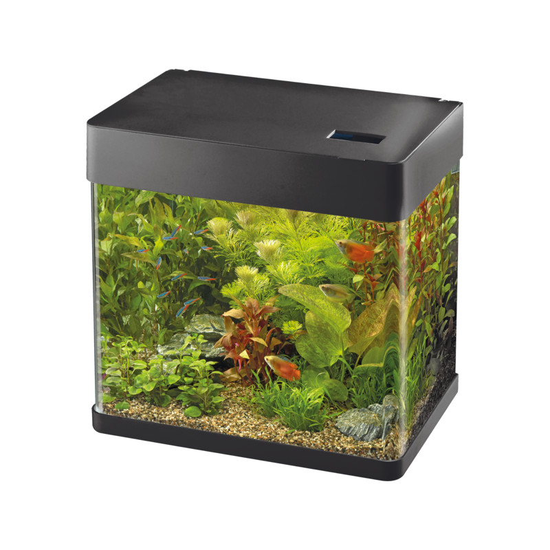 Aquarium panorama 20 noir de Superfish - Aquadistri - accessoires pour aquarium et bassin dans Aquariums - de 60 Litres