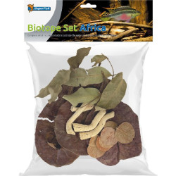Biotope aquarium set africa de Superfish - Aquadistri - accessoires pour aquarium et bassin dans Sujets pour aquarium