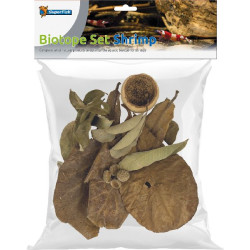Biotope aquarium set crevette de Superfish - Aquadistri - accessoires pour aquarium et bassin dans Sujets pour aquarium