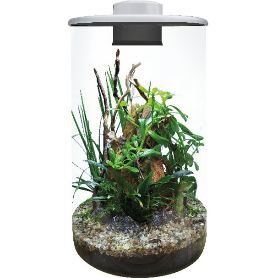 Cylindre 285 blanc de Superfish - Aquadistri - accessoires pour aquarium et bassin dans Bouteille terrarium