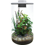 Cylindre 285 blanc de Superfish - Aquadistri - accessoires pour aquarium et bassin dans Bouteille terrarium