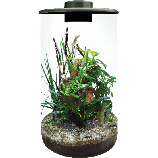 Cylindre 285 noir de Superfish - Aquadistri - accessoires pour aquarium et bassin dans Bouteille terrarium