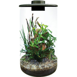 Cylindre 285 noir de Superfish - Aquadistri - accessoires pour aquarium et bassin dans Bouteille terrarium
