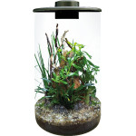 Cylindre 285 noir de Superfish - Aquadistri - accessoires pour aquarium et bassin dans Bouteille terrarium
