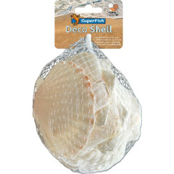 Deco coquillage scallop blanc 200 g de Superfish - Aquadistri - accessoires pour aquarium et bassin dans Sujets pour aquarium