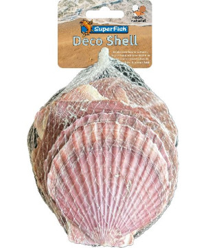 Deco coquillage violet 200 g de Superfish - Aquadistri - accessoires pour aquarium et bassin dans Sujets pour aquarium
