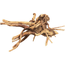 Spider wood 10-15 cm de Superfish - Aquadistri - accessoires pour aquarium et bassin dans Sujets pour aquarium