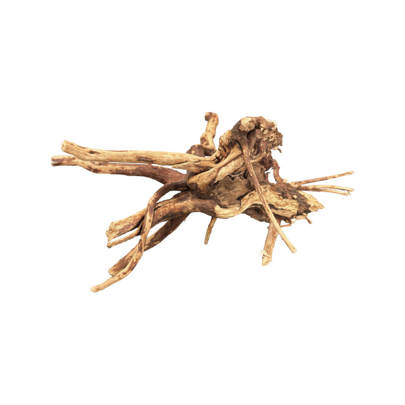 Spider wood 10-15 cm de Superfish - Aquadistri - accessoires pour aquarium et bassin dans Sujets pour aquarium