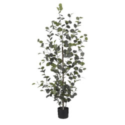 Eucalyptus vert en pot h150 d30 de Edelman - deco maison et noël dans Plantes artificielles