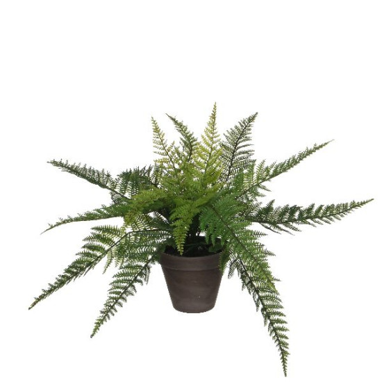 Fougere vert en pot stan gris h38 d50 de Edelman - deco maison et noël dans Plantes artificielles