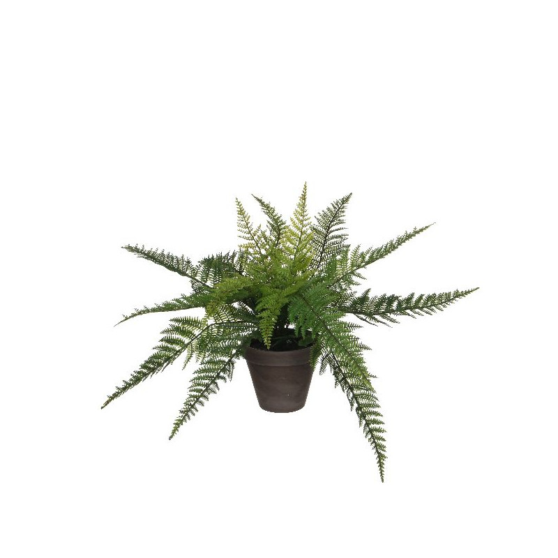Fougere vert en pot stan gris h38 d50 de Edelman - deco maison et noël dans Plantes artificielles