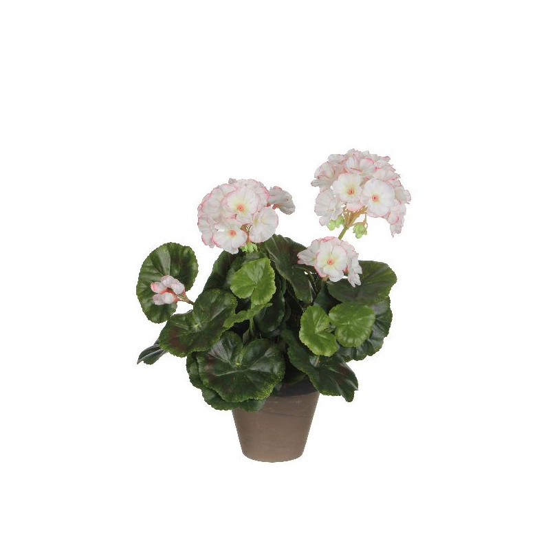 Geranium blanc rose en pot stan gris h34 d20 de Edelman - deco maison et noël dans Plantes artificielles