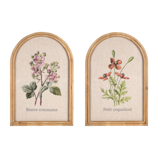 Cadre deco horticole 40x60cm de Jardinerie Bordeaux Libourne Gironde dans Peintures - Cadres -Toiles - Tableaux
