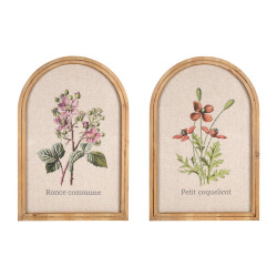 Cadre deco horticole 40x60cm de Jardinerie Bordeaux Libourne Gironde dans Peintures - Cadres -Toiles - Tableaux