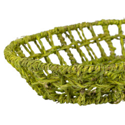 Plateau poire p'tit legume 20x36 de Jardinerie Bordeaux Libourne Gironde dans Plat, plateau et dessous de plat