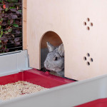 Cage lapin krolik 140 plus de Ferplast - cage pour oiseaux et rongeurs dans Cages pour rongeurs
