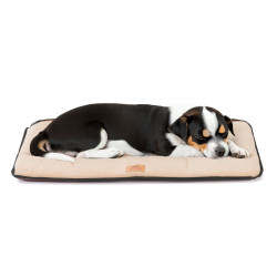 Jolly 65 microfleece beige tapis plat de Ferplast - cage pour oiseaux et rongeurs dans Paniere et coussin pour chiens