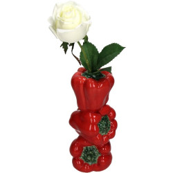 Vase poivron rouge 9.9x9.5x20.3cm de Jardinerie Bordeaux Libourne Gironde dans Vase