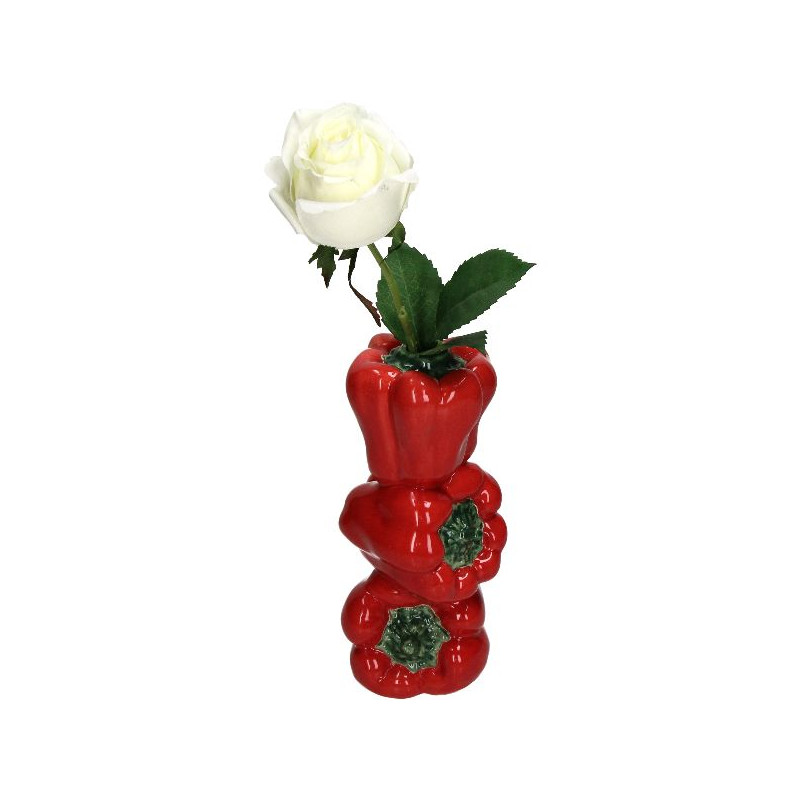 Vase poivron rouge 9.9x9.5x20.3cm de Jardinerie Bordeaux Libourne Gironde dans Vase