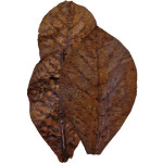 Colombo feuille de catappa 10pcs de Superfish - Aquadistri - accessoires pour aquarium et bassin dans Equilibre de l'eau de l...