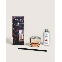 Bouquet variation nude de Lampe Berger Paris - parfums et diffuseurs dans Produits parfumés, huile essentielle et Lampe Berger
