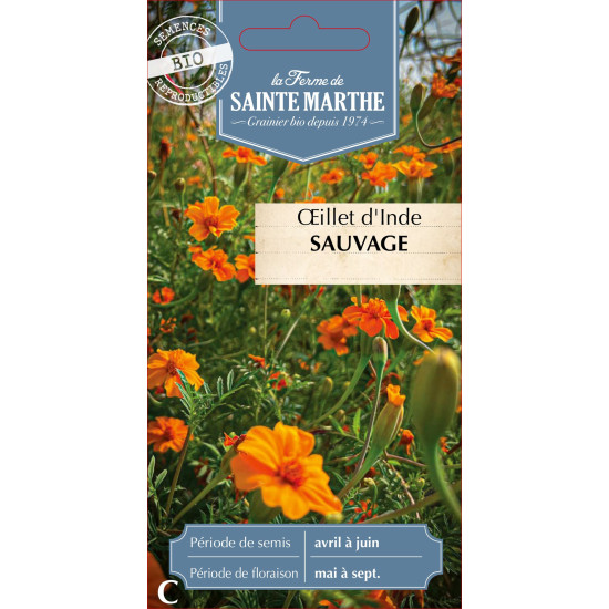 Oeillet d inde sauvage bio - ferme sainte marthe de La Ferme de Sainte Marthe - Graines BIO dans Graines de fleurs en O