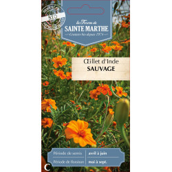 Oeillet d inde sauvage bio - ferme sainte marthe de La Ferme de Sainte Marthe - Graines BIO dans Graines de fleurs en O