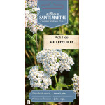 Achillee millefeuille bio - ferme sainte marthe de La Ferme de Sainte Marthe - Graines BIO dans Graines de fleurs en A