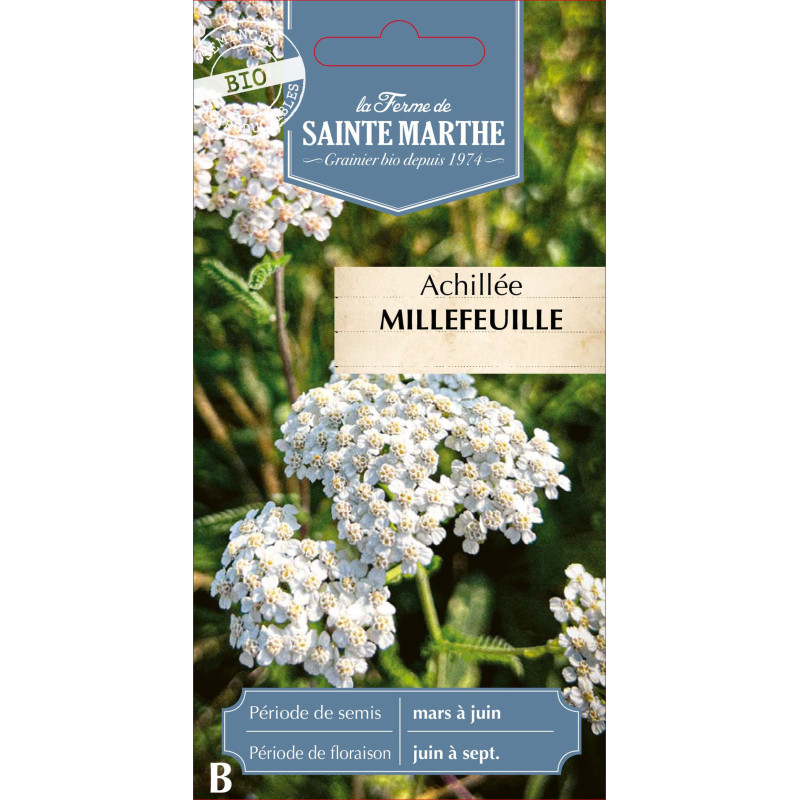 Achillee millefeuille bio - ferme sainte marthe de La Ferme de Sainte Marthe - Graines BIO dans Graines de fleurs en A