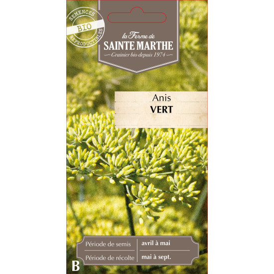 Anis vert bio - ferme sainte marthe de La Ferme de Sainte Marthe - Graines BIO dans Graines de plantes aromatiques