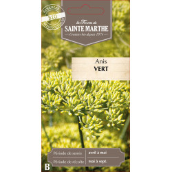 Anis vert bio - ferme sainte marthe de La Ferme de Sainte Marthe - Graines BIO dans Graines de plantes aromatiques