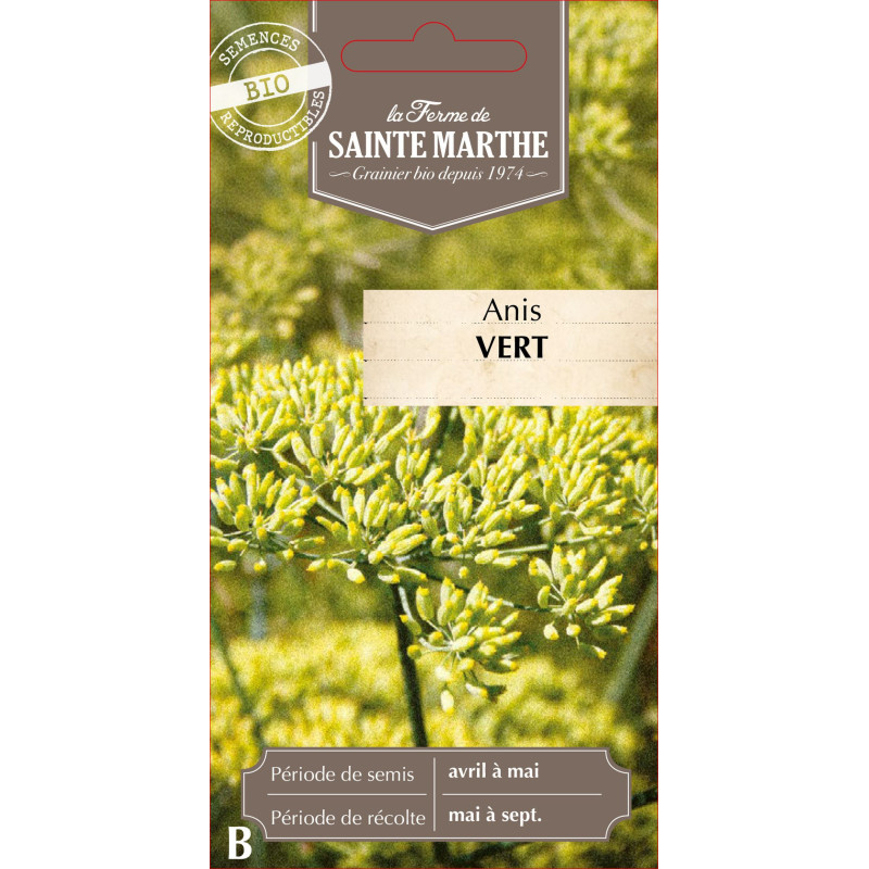 Anis vert bio - ferme sainte marthe de La Ferme de Sainte Marthe - Graines BIO dans Graines de plantes aromatiques