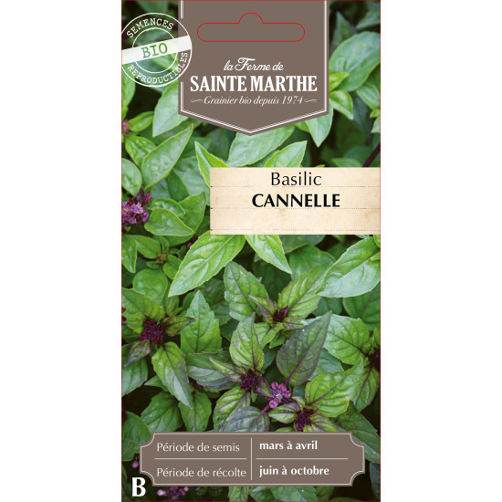 Basilic cannelle bio - ferme sainte marthe de La Ferme de Sainte Marthe - Graines BIO dans Graines de Basilic