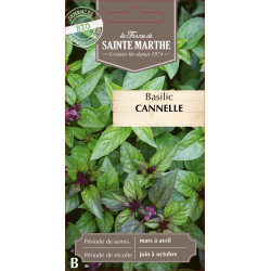 Basilic cannelle bio - ferme sainte marthe de La Ferme de Sainte Marthe - Graines BIO dans Graines de Basilic
