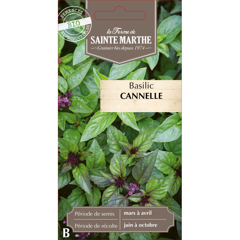 Basilic cannelle bio - ferme sainte marthe de La Ferme de Sainte Marthe - Graines BIO dans Graines de Basilic