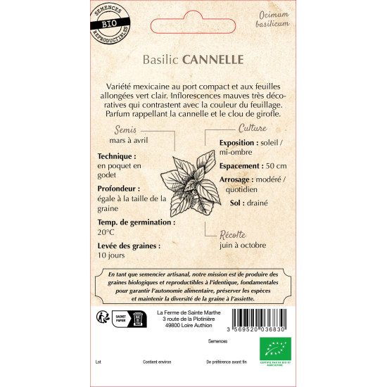 Basilic cannelle bio - ferme sainte marthe de La Ferme de Sainte Marthe - Graines BIO dans Graines de Basilic