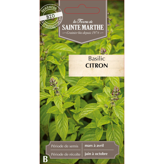 Basilic citron bio - ferme sainte marthe de La Ferme de Sainte Marthe - Graines BIO dans Graines de Basilic